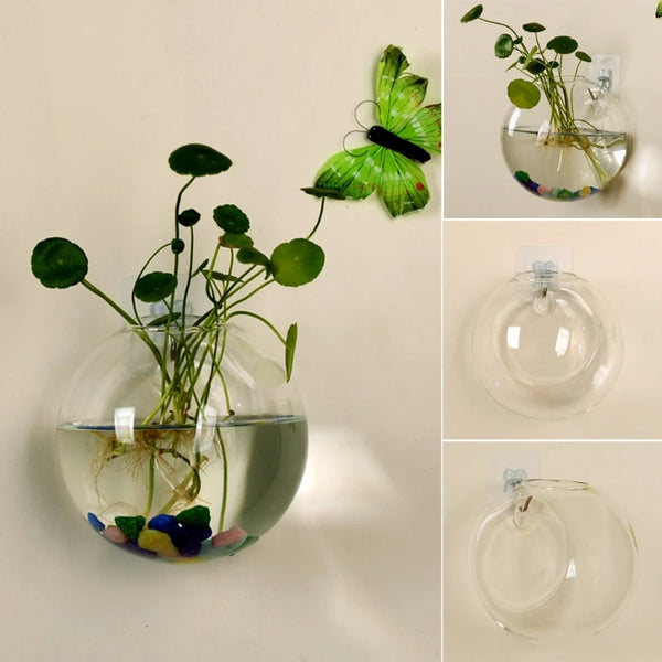 Acuarios Plantas en maceta Florero 