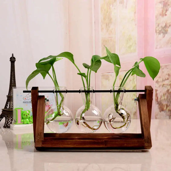 Transparent Vase Wooden Frame Vase