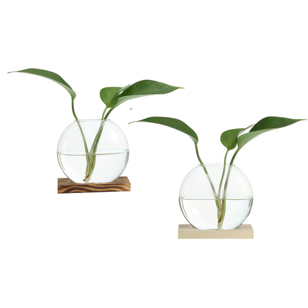 Glass Vase with Wooden Tray Bud