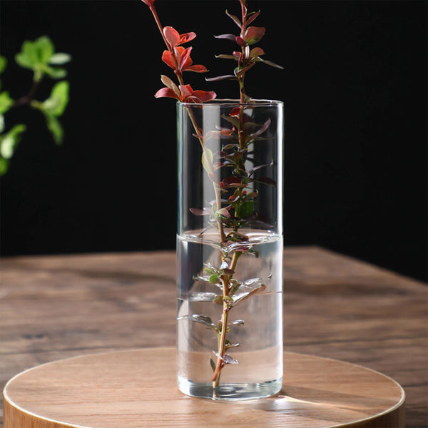Minimalist Glass Vase Cylinder Flower