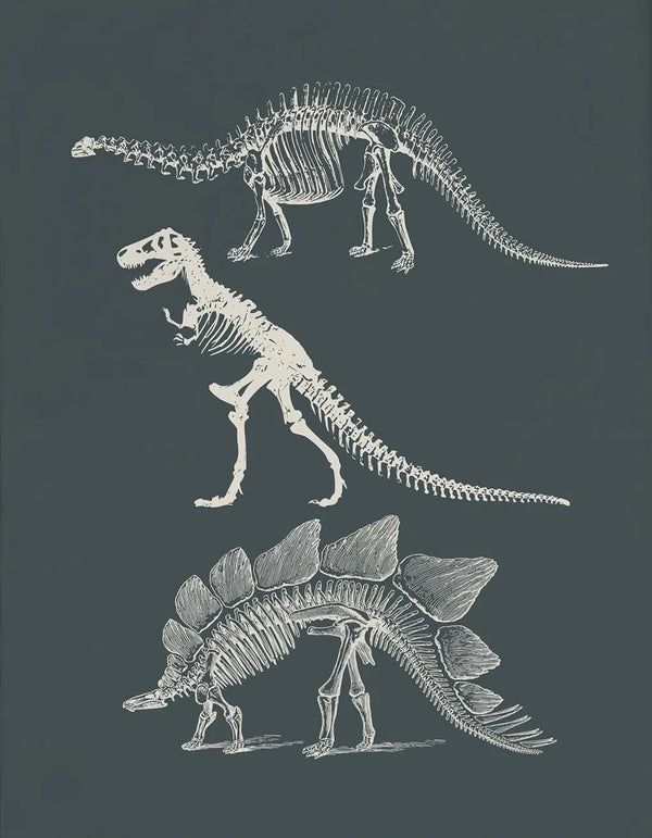 Vintage Dinosaur Chart Posters