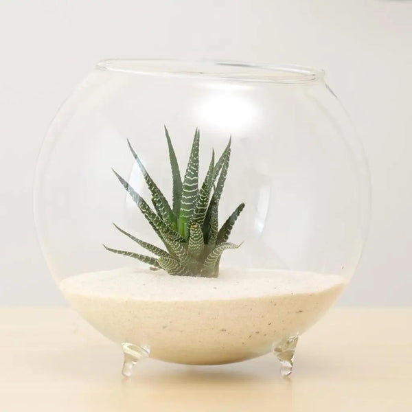 Ball Shaped Glass Flower Vase