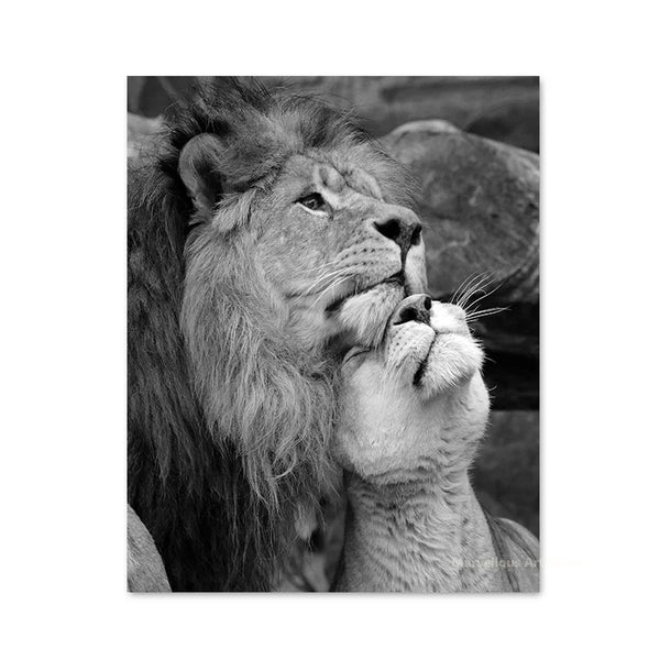 Black White Animals Baby Lion Family Poster