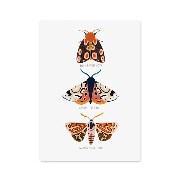 Butterfly Caterpillar Spring Posters