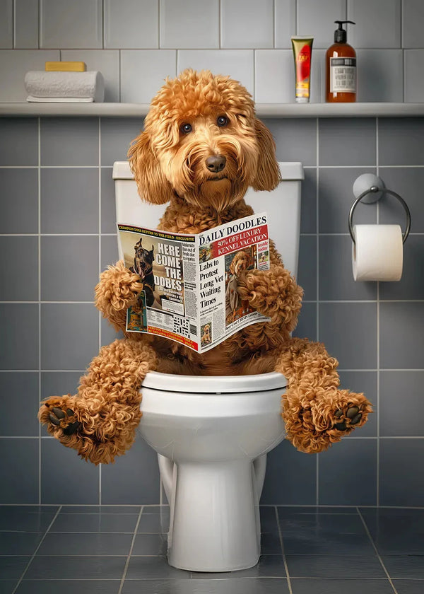 Póster de perro leyendo el periódico 